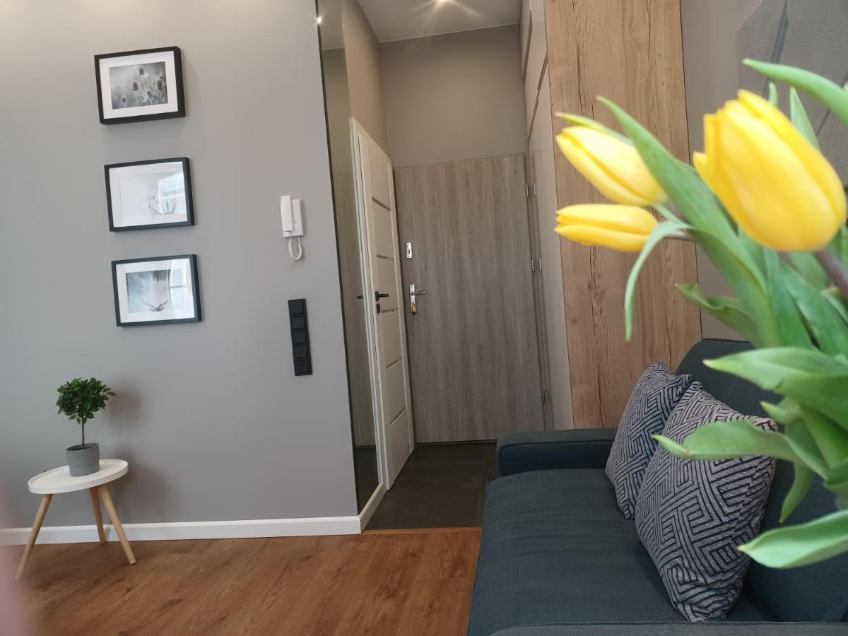 Apartament Piotrkowska 37 Studio Łódź Dış mekan fotoğraf