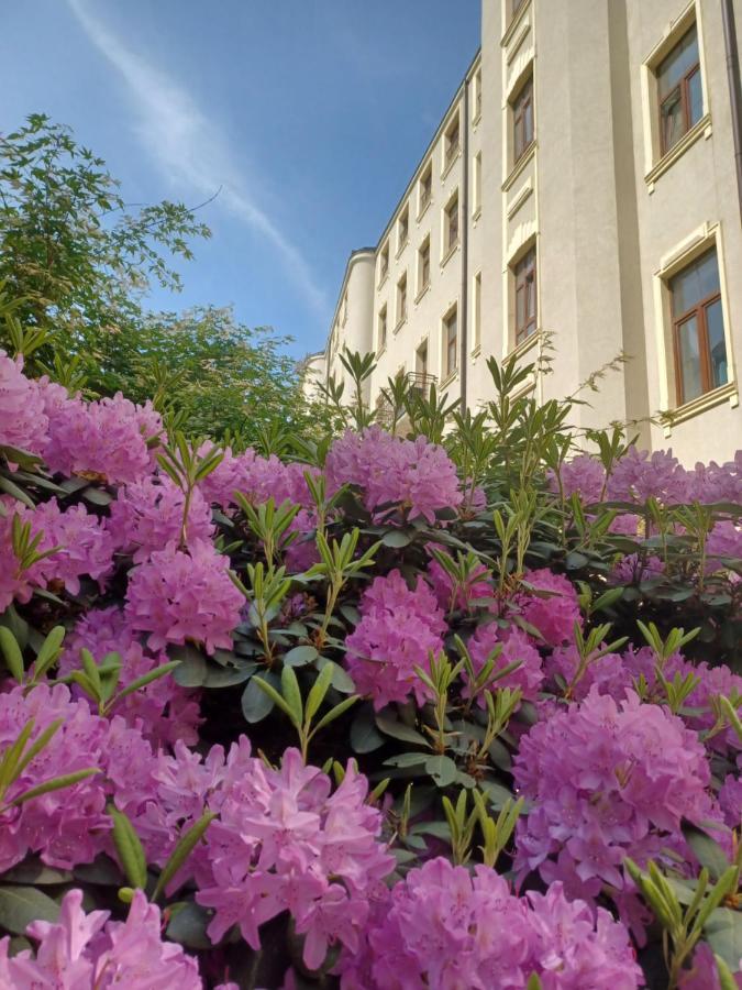 Apartament Piotrkowska 37 Studio Łódź Dış mekan fotoğraf